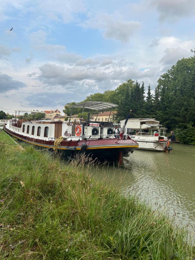 Carcassonne Aigle D Or Apartment Екстериор снимка